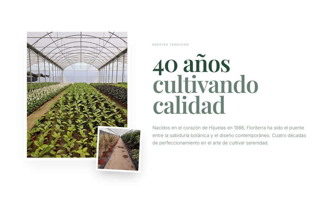 Captura de Vivero Floriterra